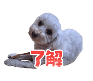 855669291