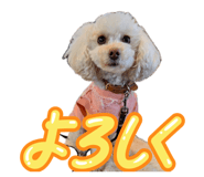 855669293