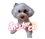 855669294