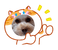 855669296