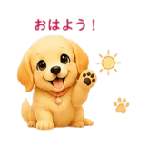 855669305
