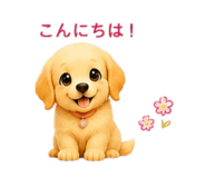 855669306