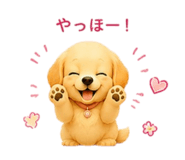 855669308