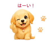 855669309