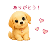 855669311