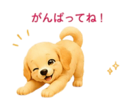 855669317