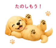 855669329