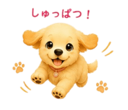 855669331
