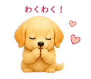 855669335