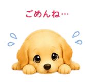 855669336