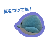 855669381