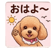 855669417