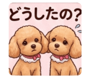 855669426