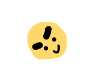 855669507