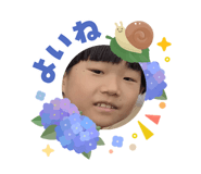 855669546
