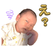 855669555