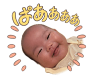 855669588