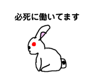 855669868