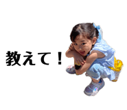 855669904