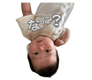 855669981