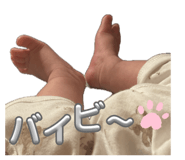855670004