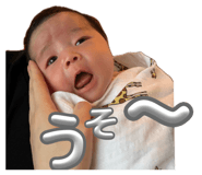 855670008