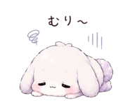 855670082