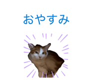 855670681