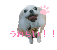 855670851