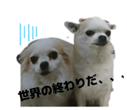 855670858