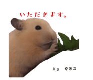 855670922