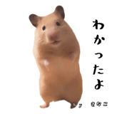 855670923