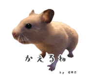 855670926