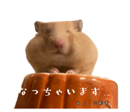 855670929