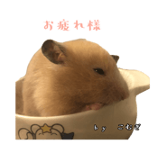 855670930