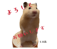 855670935