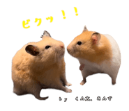 855670937