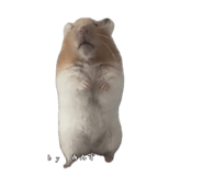 855670939