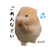 855670941