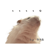 855670944