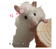 855670945