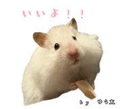 855670947
