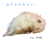 855670948