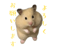 855670949