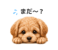 855671126