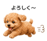855671135