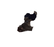 855671508