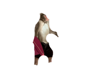 855671509