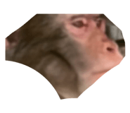 855671511