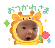 855671531